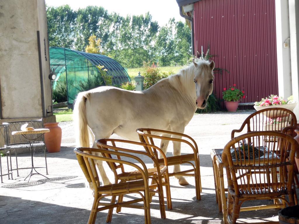 מג'נטה Bed And Breakfast Azienda Agricola Cascina Salazzara מראה חיצוני תמונה